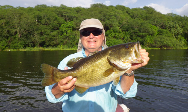 Top 5 Bass Fishing Locations – Best Fishing Experience