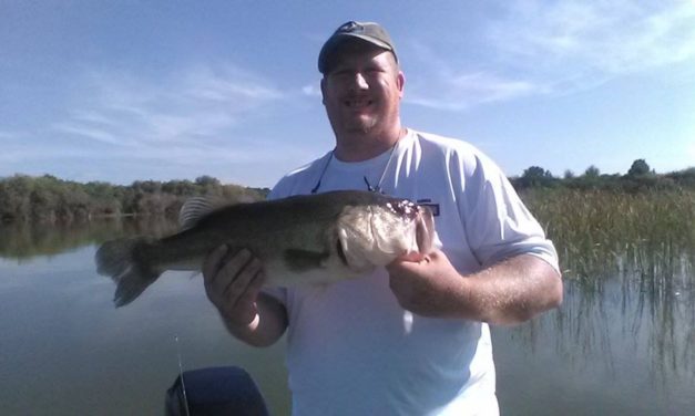 Weekly Spotlight: Edward Pyles