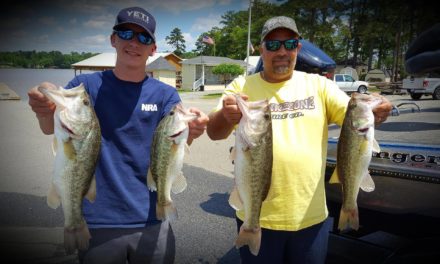 Weekly Spotlight: Blake Woods