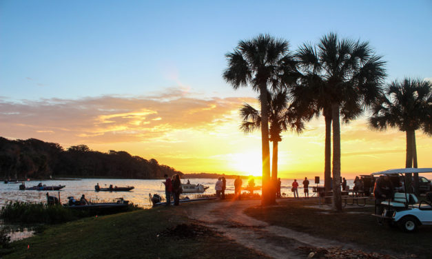 Largemouth Bass Fishing For Numbers Instead of Hogs – Sometimes It’s Fun