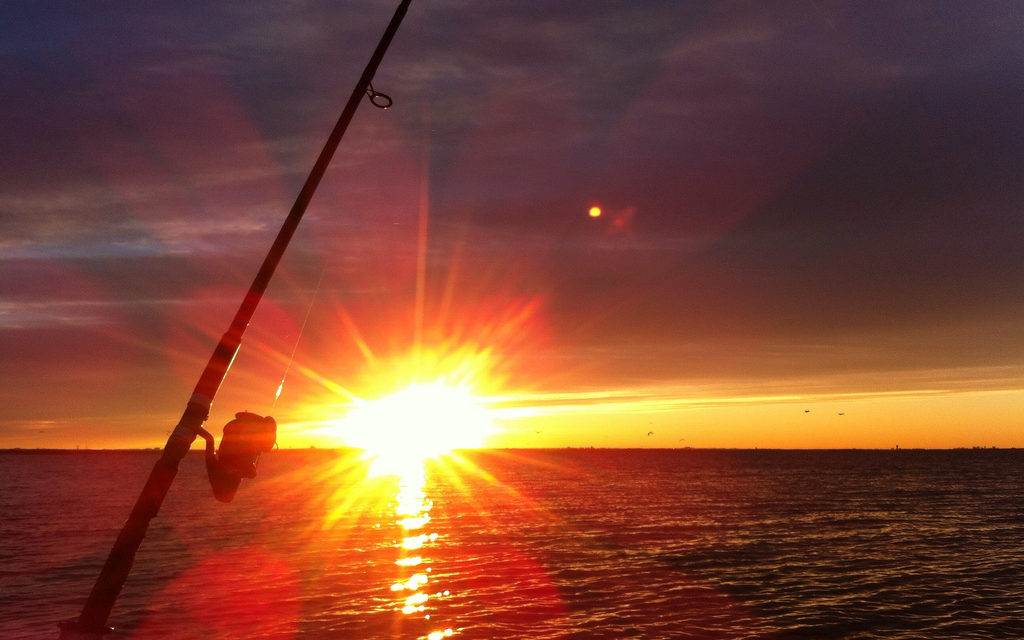 Largemouth Bass in the Morning- Dawn is the Hour of Magic