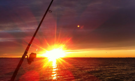 Largemouth Bass in the Morning- Dawn is the Hour of Magic