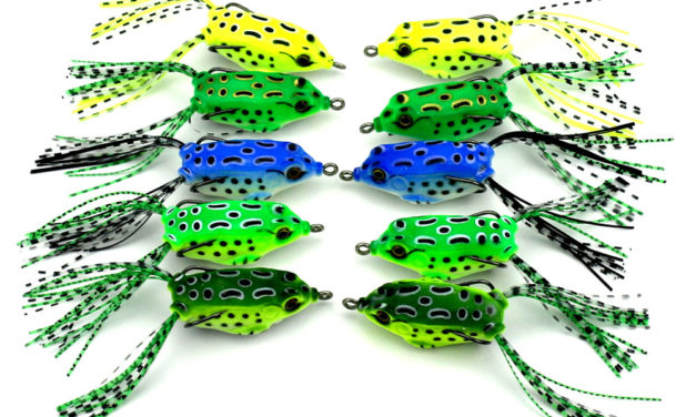 Frogs For Largemouth Bass – Why You Should Never Buy Them If You Want to Catch Fish