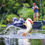 Know some of the basic rules of fishing