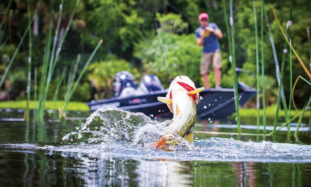 Know some of the basic rules of fishing