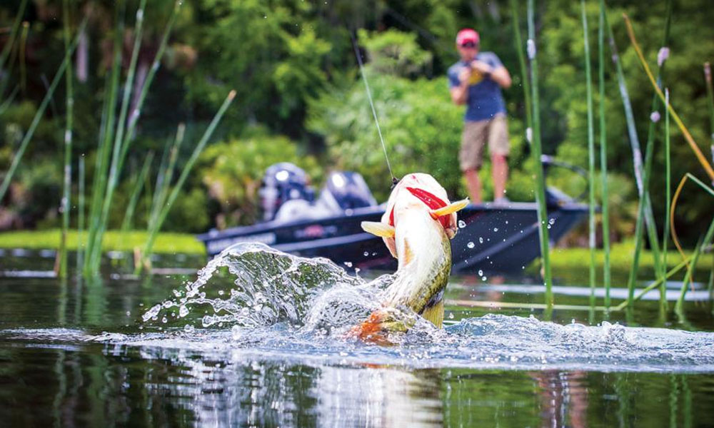 Know some of the basic rules of fishing