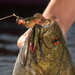Artistry meets engineering in the LIVETARGET Hollow Body Craw