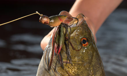 Artistry meets engineering in the LIVETARGET Hollow Body Craw
