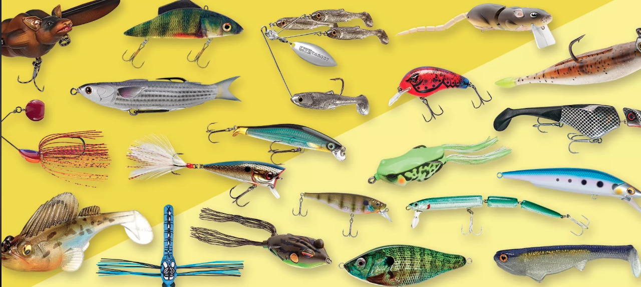 Are You Choosing the Right Type of Bait to Lure Your Fish?