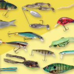 Are You Choosing the Right Type of Bait to Lure Your Fish?