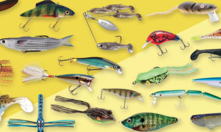 Are You Choosing the Right Type of Bait to Lure Your Fish?